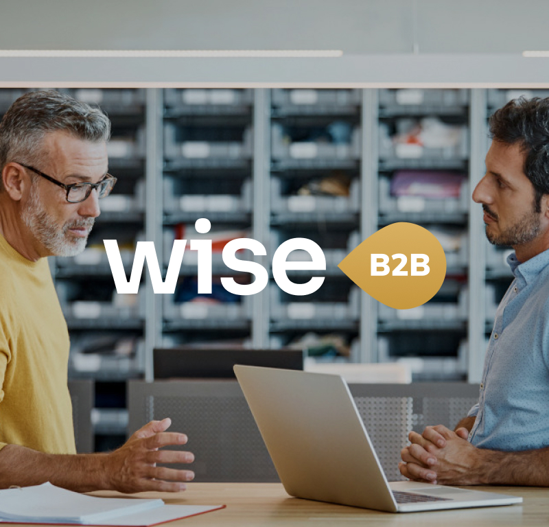 Wise B2B